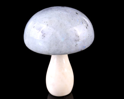80mm Labradorite Hand Carved Crystal Mushroom Sculpture