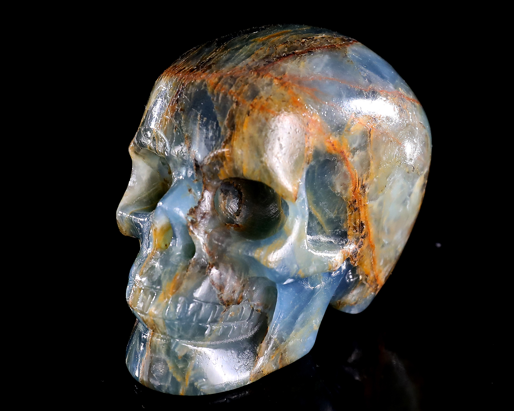 Exploring the Blue Anlis Skull: A Blend of Crystal Energy and Mystical Meaning