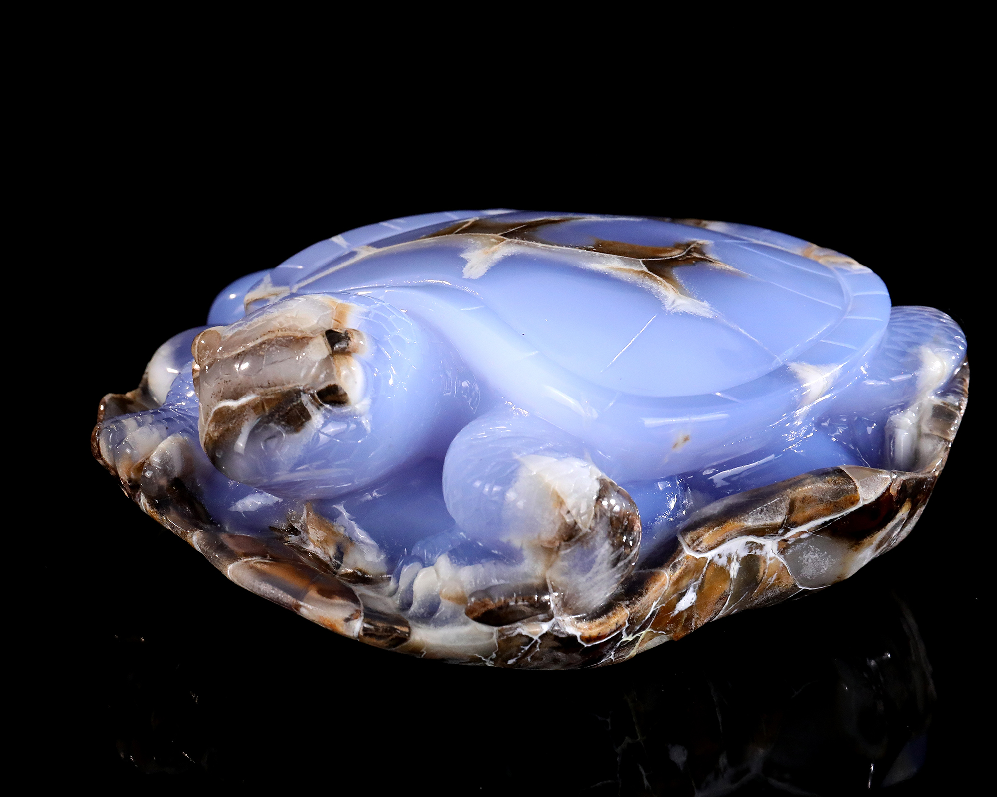 Blue Chalcedony Tortoise Artisan Stone Piece Curated for Display